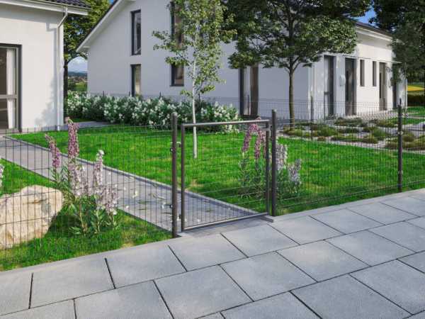 Hinterhof, Natur, Draußen, Hof, Gras