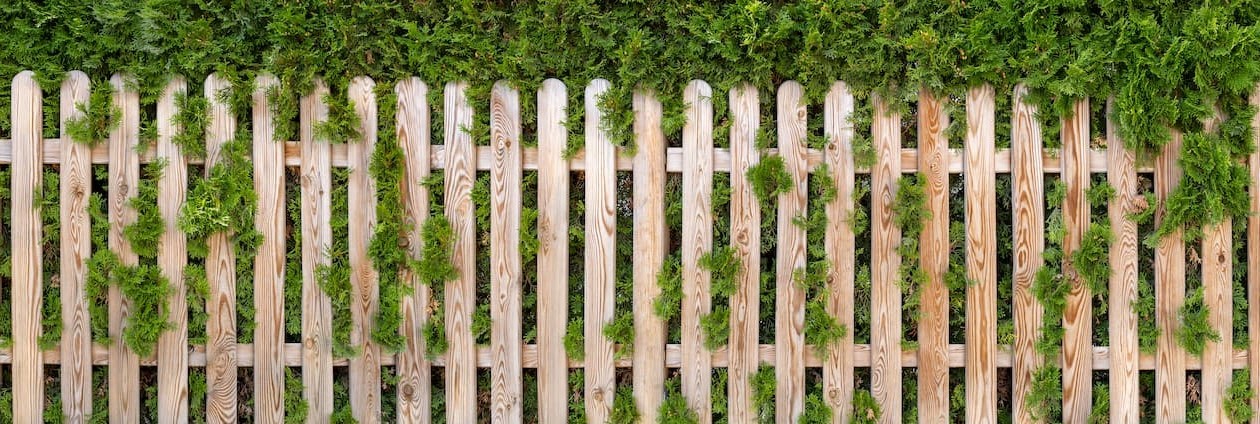 Natur, Draußen, Hof, Lattenzaun