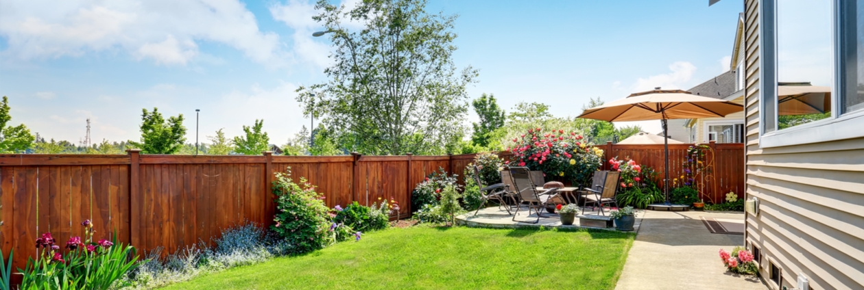 Hinterhof, Natur, Hof, Innenarchitektur, Garten