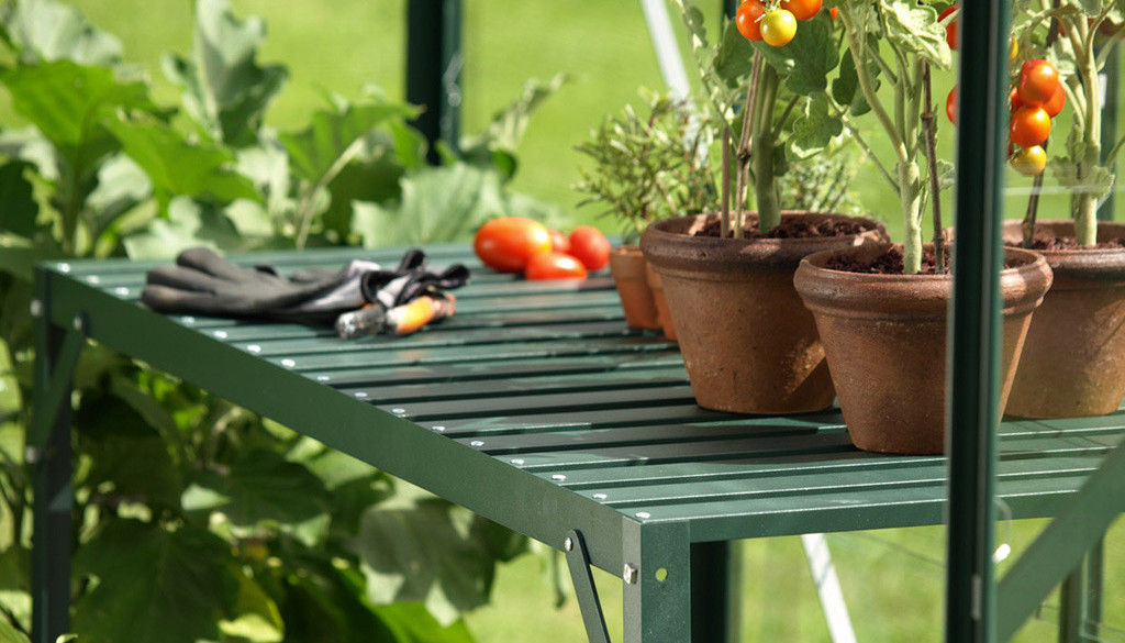 Pflanze, Pflanze im Topf, Garten, Tabelle, Pflanzgefäß