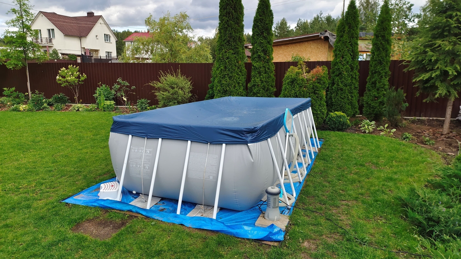 Tierheim, Hinterhof, Hof, Gras, Baum