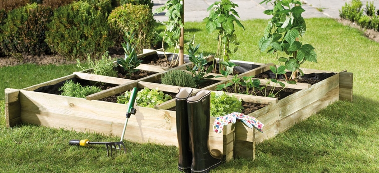 Topfpflanze, Pflanzgefäß, Garten, Hinterhof, Gras