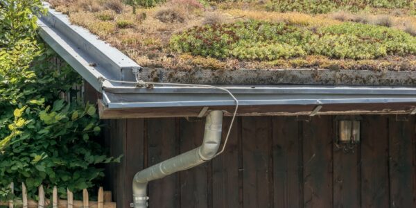 Green,Roof,On,An,Ecologically,Built,Farmhouse