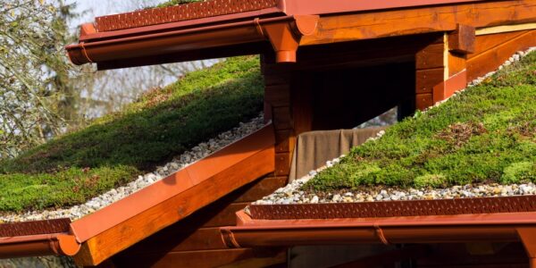 Green,Ecological,Sod,Roof,On,Wooden,Building,Covered,With,Vegetation