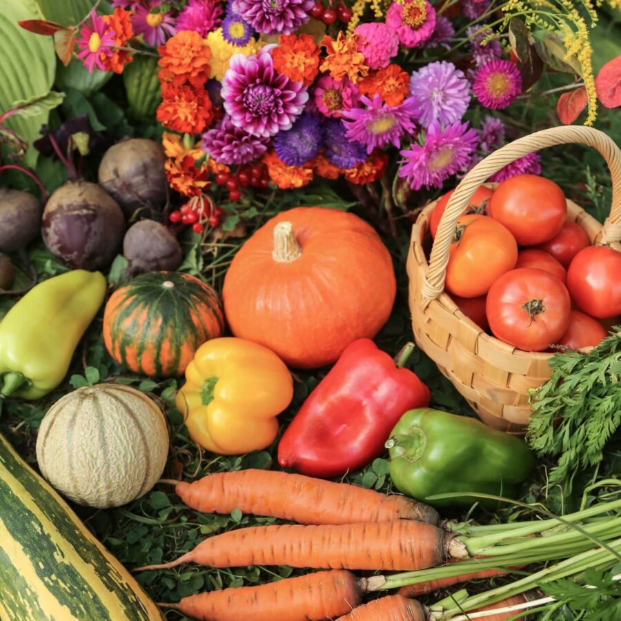 Autumn,Harvest,Of,Fresh,Pumpkin,,Tomato,,Pepper,,Carrot,,Zucchini,Vegetable